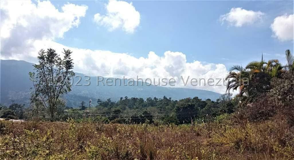 Terreno (Finca) en Venta en Centro, Merida - 4