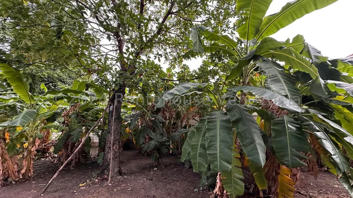 Casa (1 Nivel) en Venta en Las Delicias, Aragua - 52
