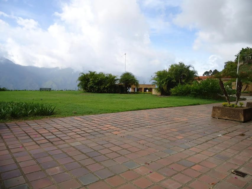 Apartamento (1 Nivel) en Venta en Los Naranjos del Cafetal, Distrito Metropolitano - 36