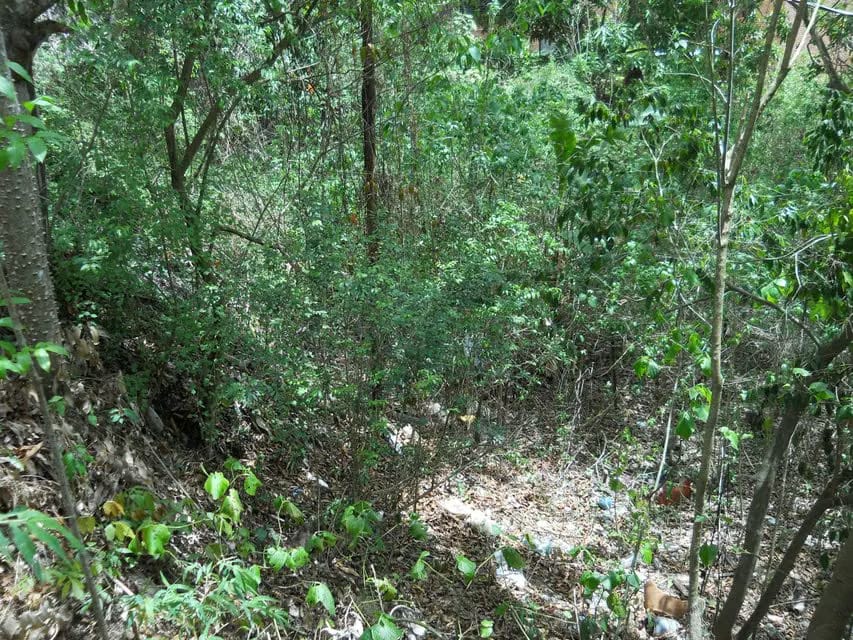 Terreno (Comercial) en Venta en El Peñon, Distrito Metropolitano - 12