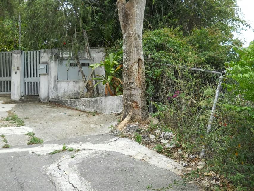 Terreno (Comercial) en Venta en El Peñon, Distrito Metropolitano - 4
