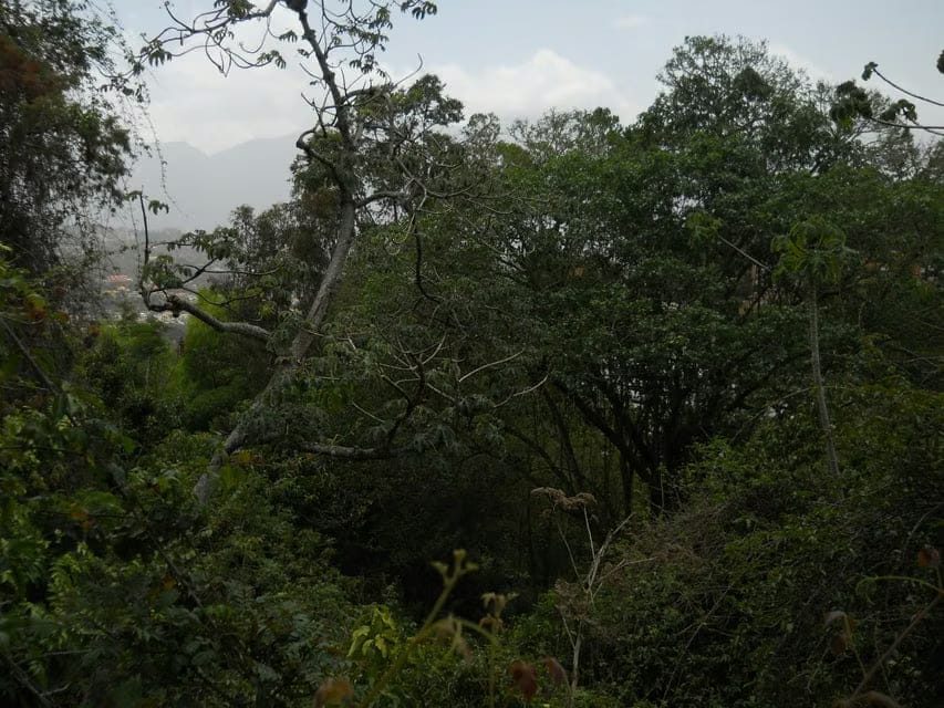 Terreno (Comercial) en Venta en El Peñon, Distrito Metropolitano - 9