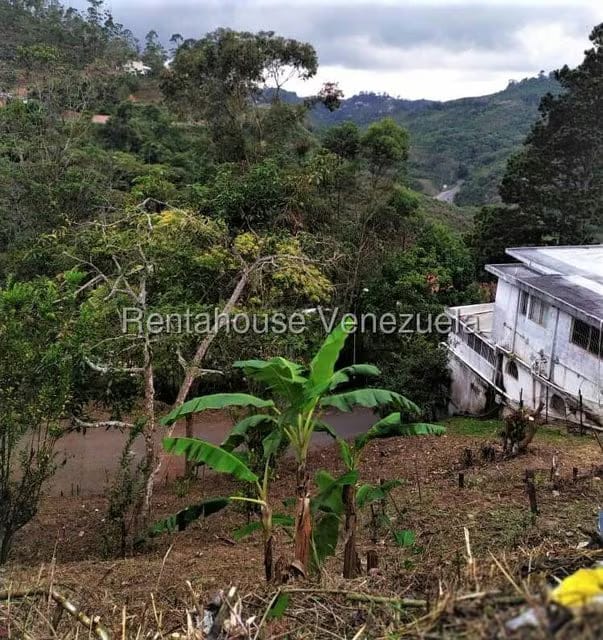 Terreno (Residencial) en Venta en El Carmen, Miranda - 4