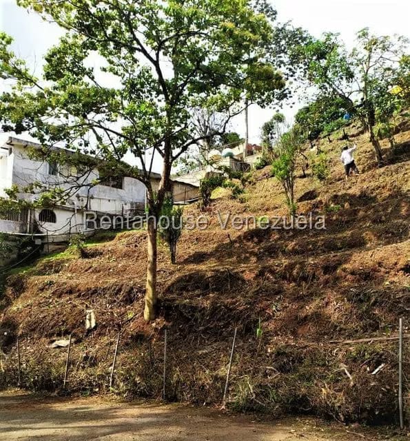 Terreno (Residencial) en Venta en El Carmen, Miranda - 5