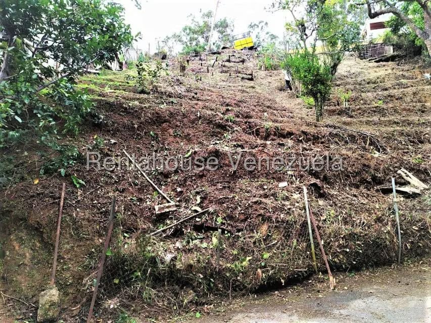 Terreno (Residencial) en Venta en El Carmen, Miranda - 6