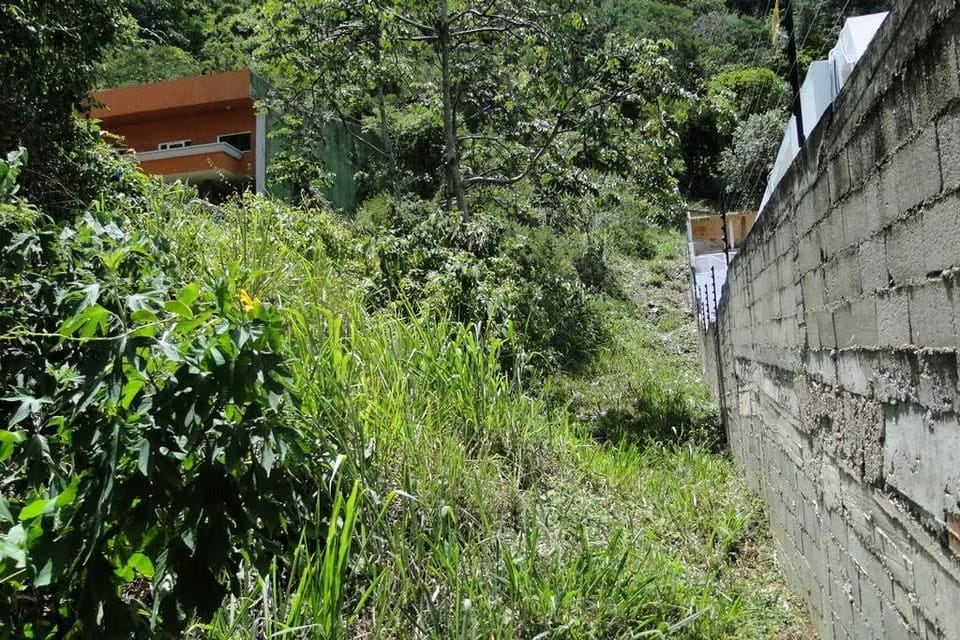 Terreno (Residencial) en Venta en Prados del Este, Distrito Metropolitano - 6