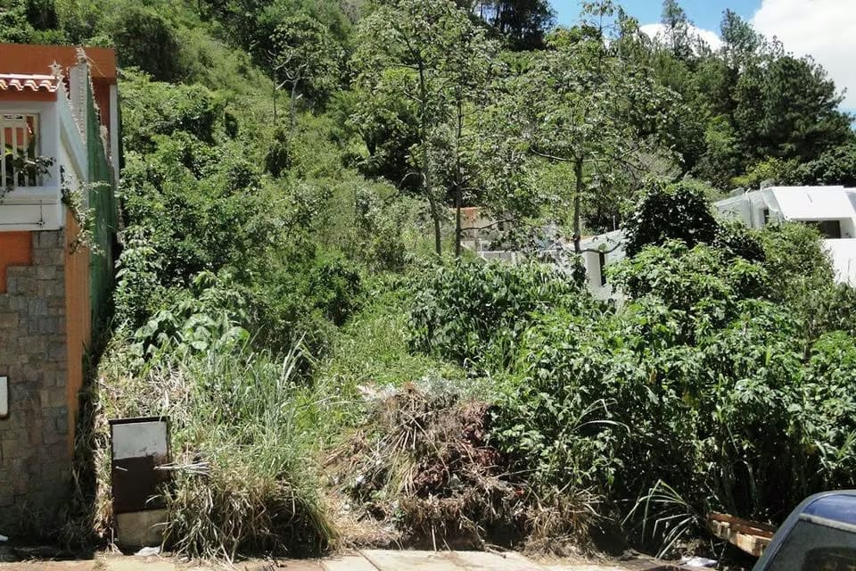 Terreno (Residencial) en Venta en Prados del Este, Distrito Metropolitano - 8