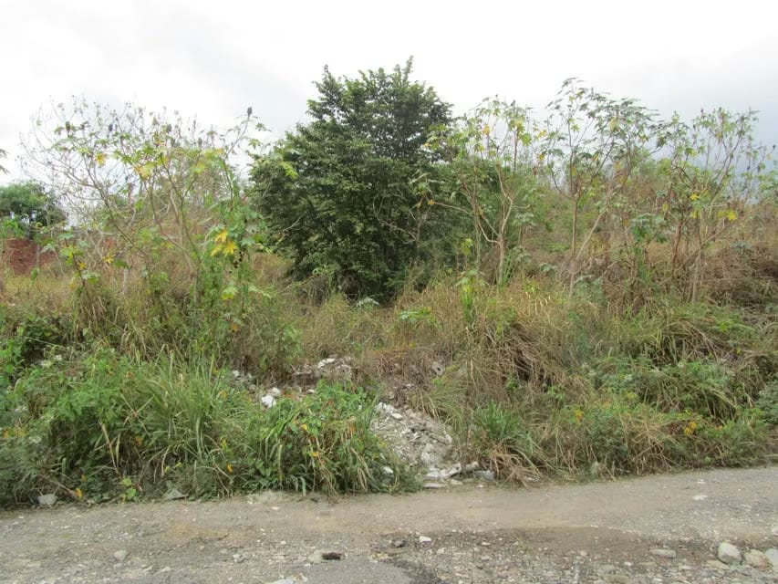 Terreno (Industrial) en Venta en El Marques, Miranda - 2