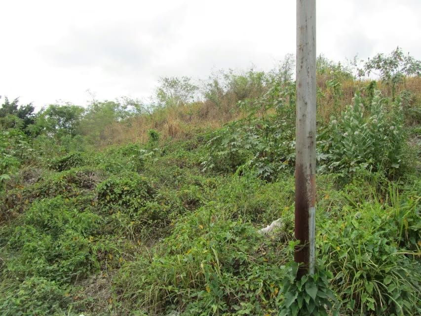 Terreno (Industrial) en Venta en El Marques, Miranda - 5