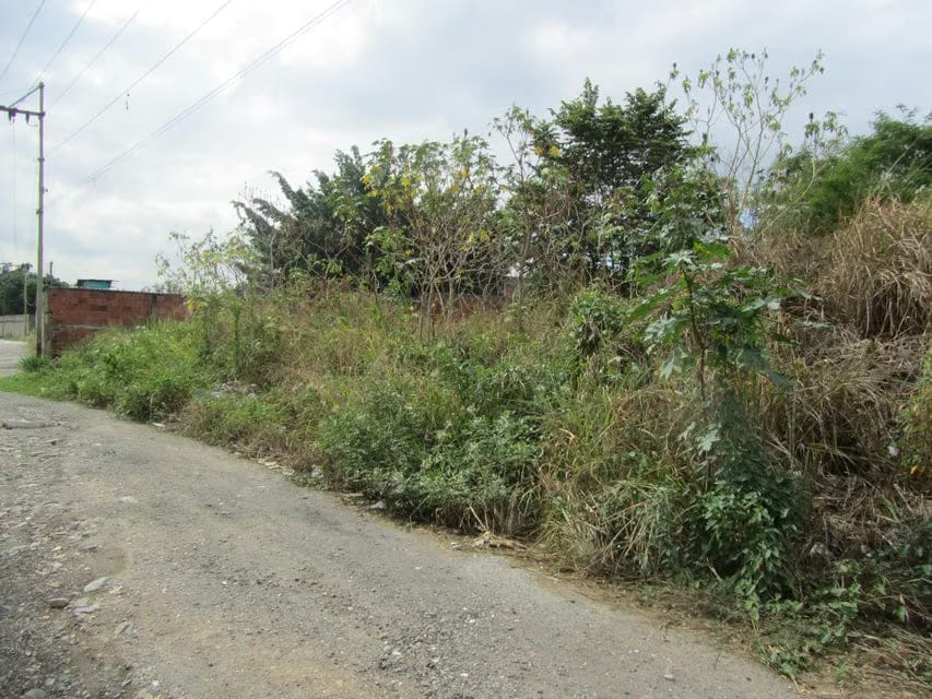 Terreno (Industrial) en Venta en El Marques, Miranda - 7