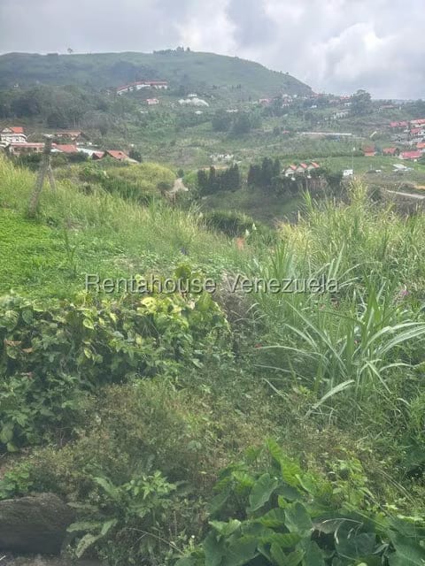Terreno (Finca) en Venta en El Jarillo, Miranda - 19