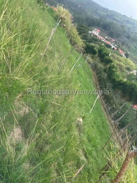 Terreno (Finca) en Venta en El Jarillo, Miranda - 20