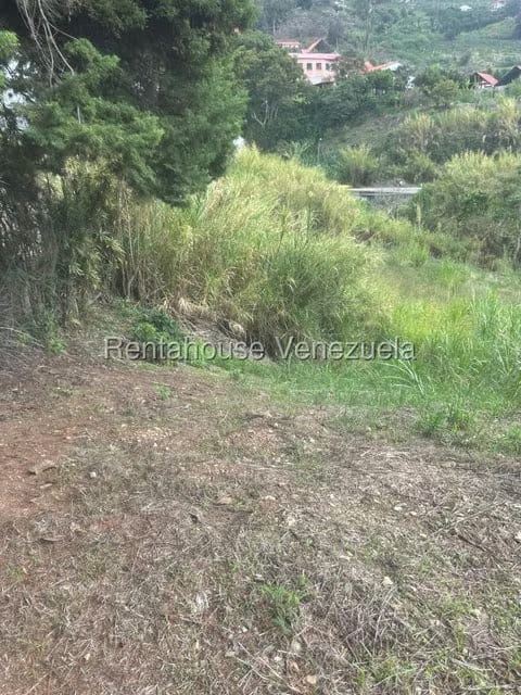 Terreno (Finca) en Venta en El Jarillo, Miranda - 21