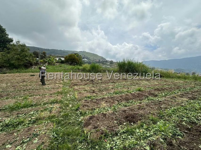 Terreno (Finca) en Venta en El Jarillo, Miranda - 6