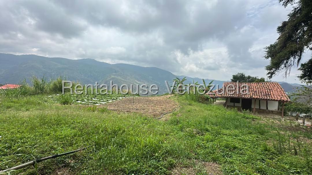 Terreno (Finca) en Venta en El Jarillo, Miranda - 7