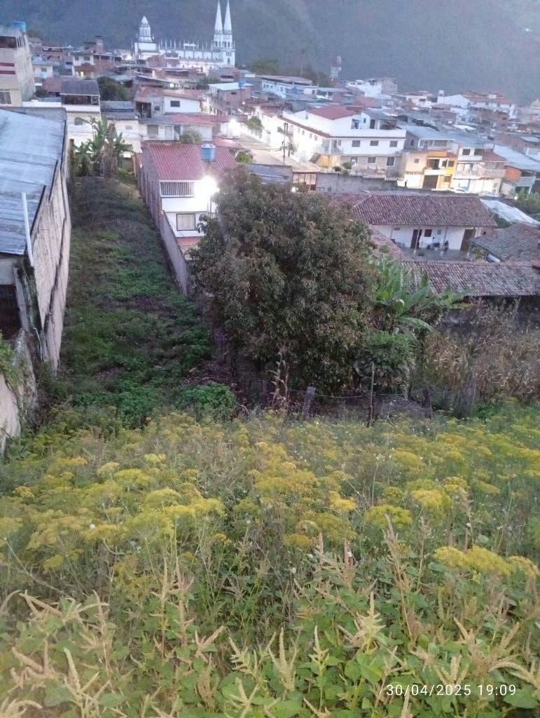Venta Terreno La Grita Barrio Santa Rosa - 3