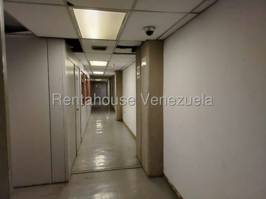 Comercial (Galpon - Deposito) en Alquiler en San Martin, Distrito Metropolitano - 9