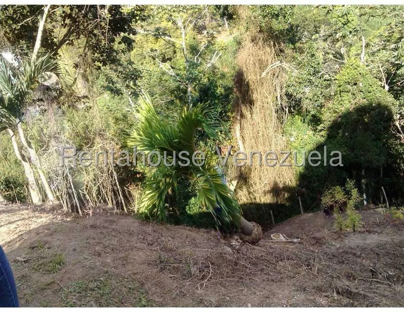Terreno (Finca) en Venta en Los Budares, Miranda - 2
