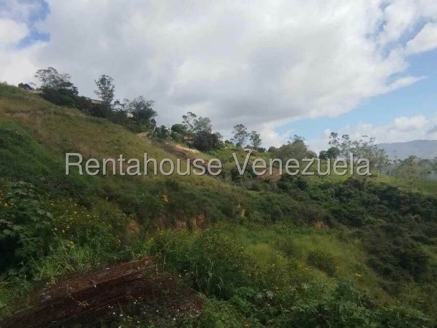 Terreno (Finca) en Venta en Los Budares, Miranda - 4