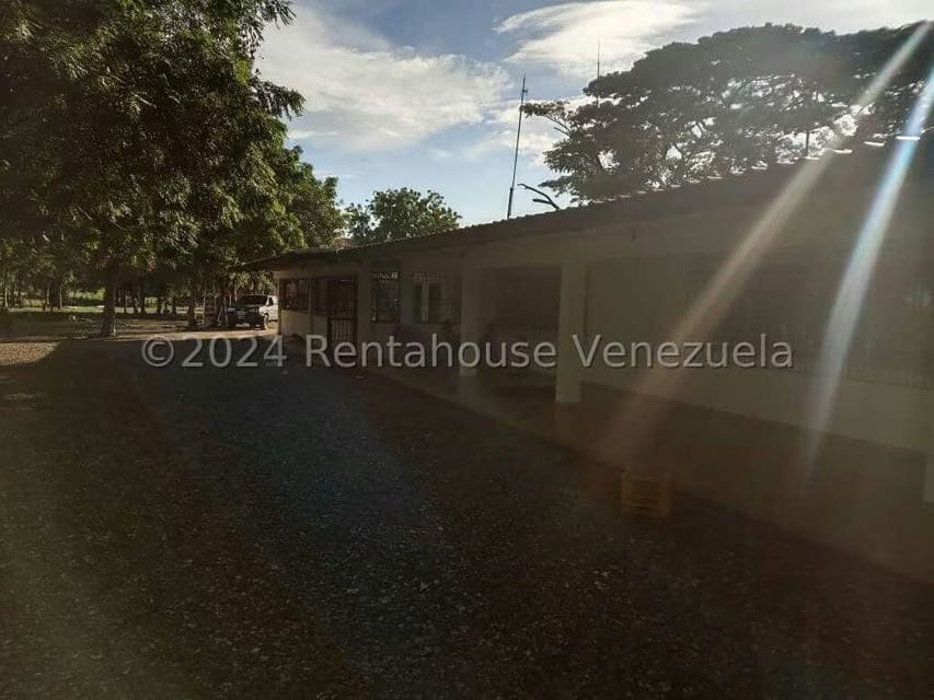 Negocios y Empresas (Alimentos y Bebidas) en Venta en Sector Carrizal, Guarico - 12