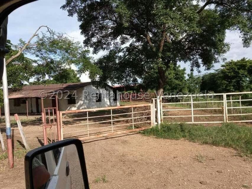 Negocios y Empresas (Alimentos y Bebidas) en Venta en Sector Carrizal, Guarico - 18