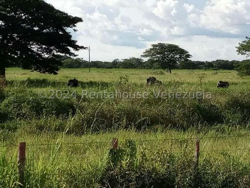 Negocios y Empresas (Alimentos y Bebidas) en Venta en Sector Carrizal, Guarico - 4