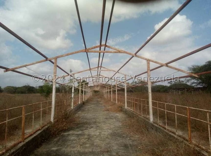 Negocios y Empresas (Alimentos y Bebidas) en Venta en Sector Carrizal, Guarico - 9