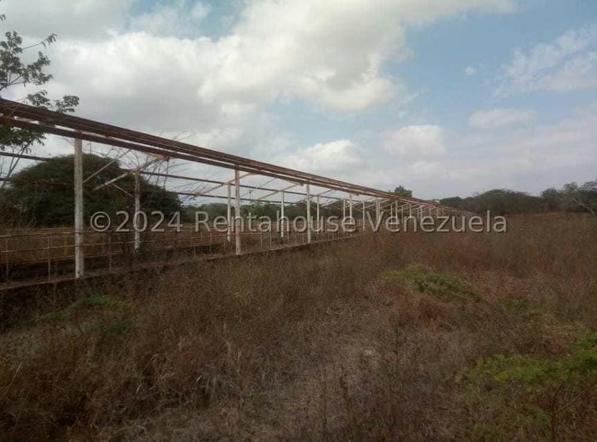Negocios y Empresas (Alimentos y Bebidas) en Venta en Sector Carrizal, Guarico - 10