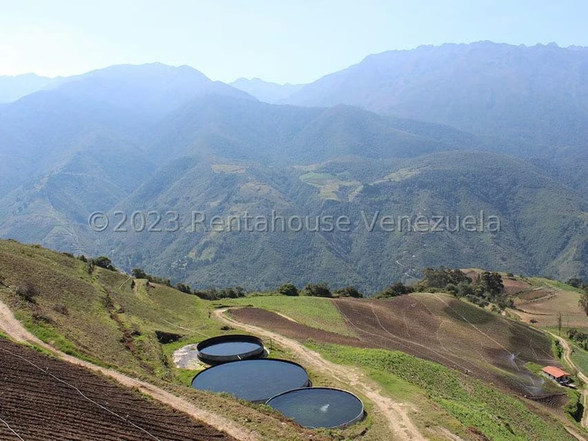 Terreno (Comercial) en Venta en Cacute, Merida
