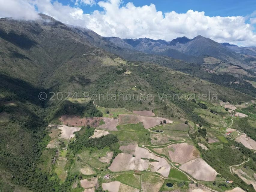 Terreno (Comercial) en Venta en Cacute, Merida - 2