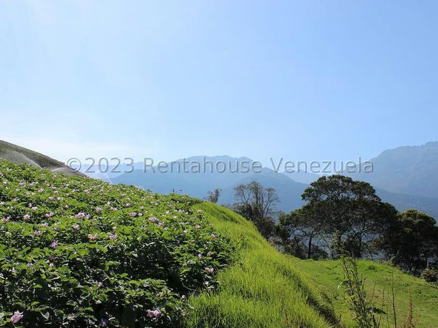 Terreno (Comercial) en Venta en Cacute, Merida - 13