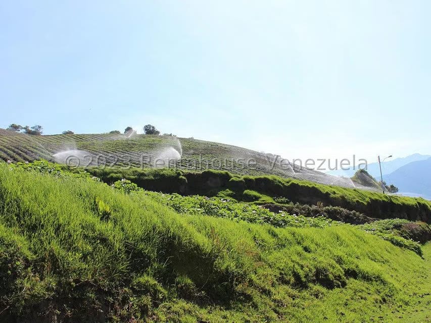 Terreno (Comercial) en Venta en Cacute, Merida - 14