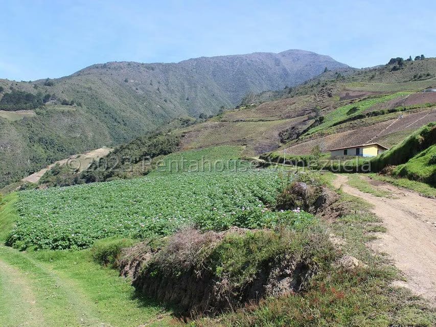 Terreno (Comercial) en Venta en Cacute, Merida - 15