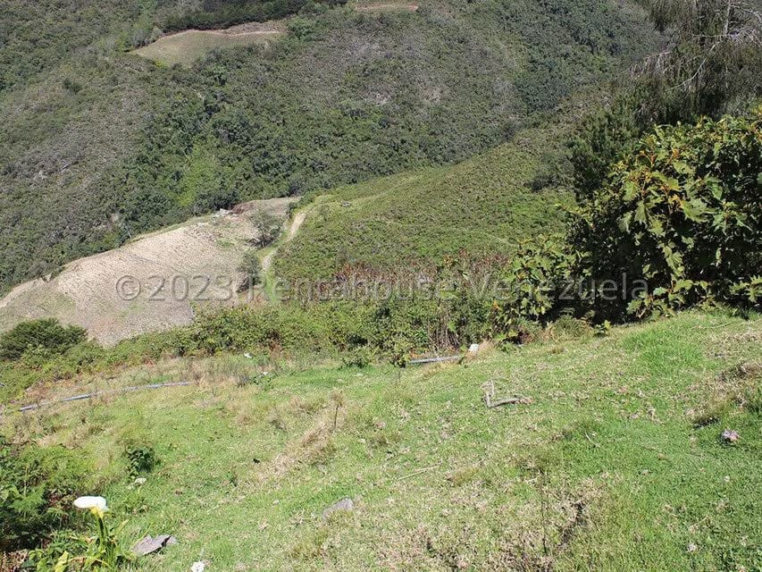 Terreno (Comercial) en Venta en Cacute, Merida - 16