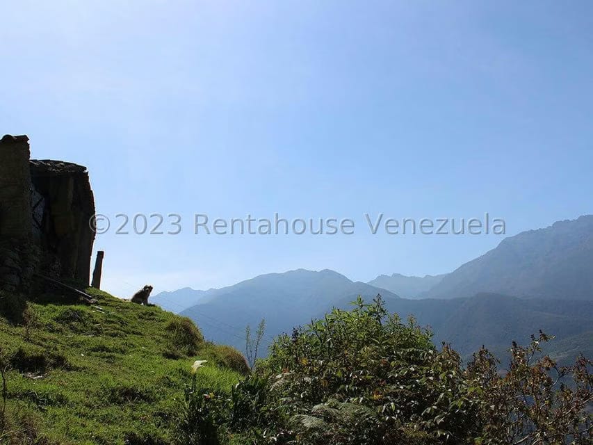 Terreno (Comercial) en Venta en Cacute, Merida - 17