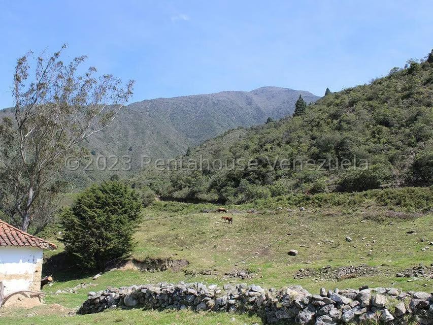 Terreno (Comercial) en Venta en Cacute, Merida - 20