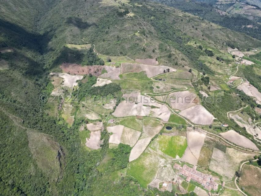 Terreno (Comercial) en Venta en Cacute, Merida - 3