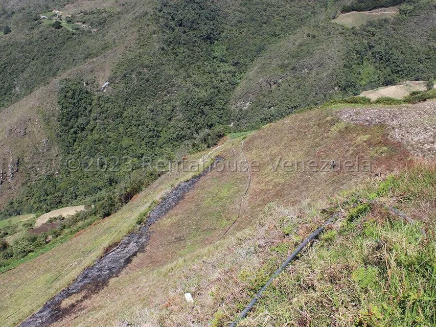 Terreno (Comercial) en Venta en Cacute, Merida - 23