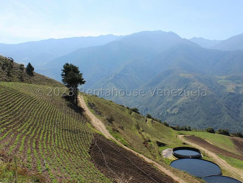 Terreno (Comercial) en Venta en Cacute, Merida - 29