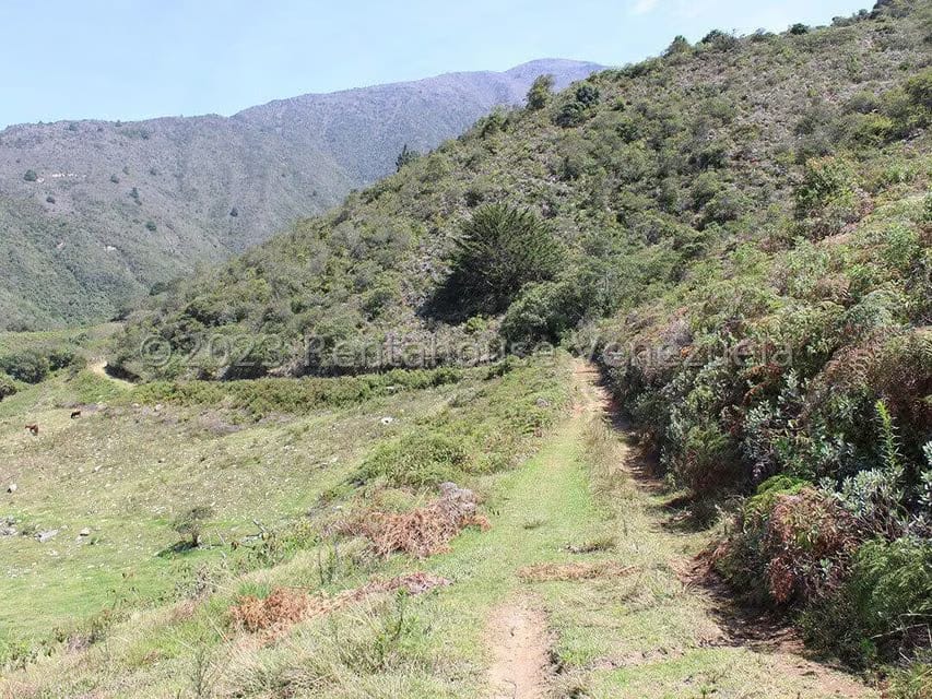 Terreno (Comercial) en Venta en Cacute, Merida - 30