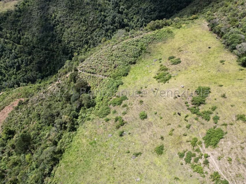 Terreno (Comercial) en Venta en Cacute, Merida - 4