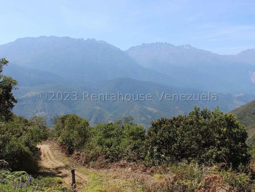 Terreno (Comercial) en Venta en Cacute, Merida - 31