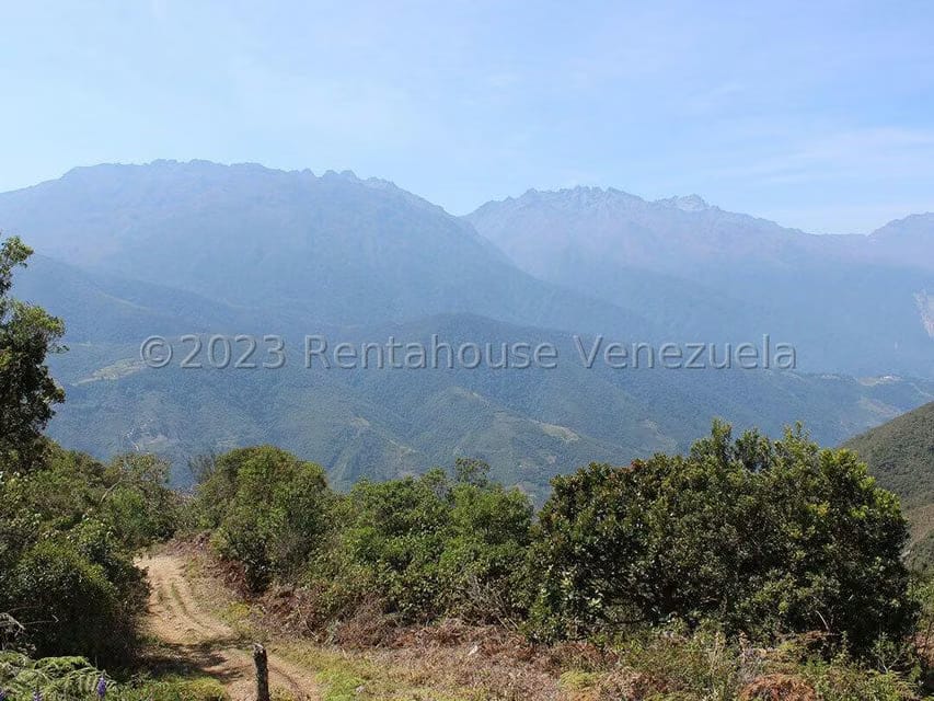 Terreno (Comercial) en Venta en Cacute, Merida - 32