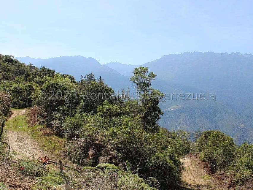 Terreno (Comercial) en Venta en Cacute, Merida - 33