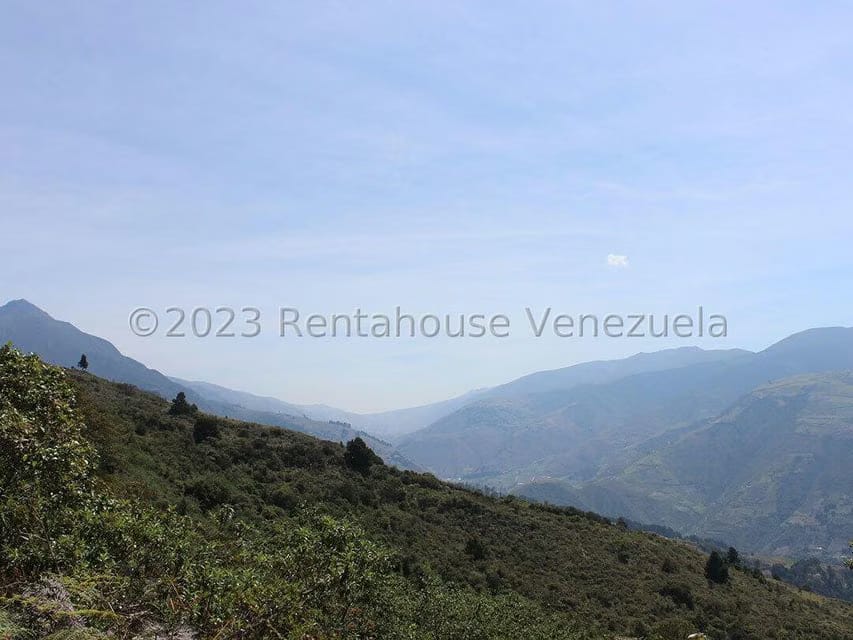 Terreno (Comercial) en Venta en Cacute, Merida - 37