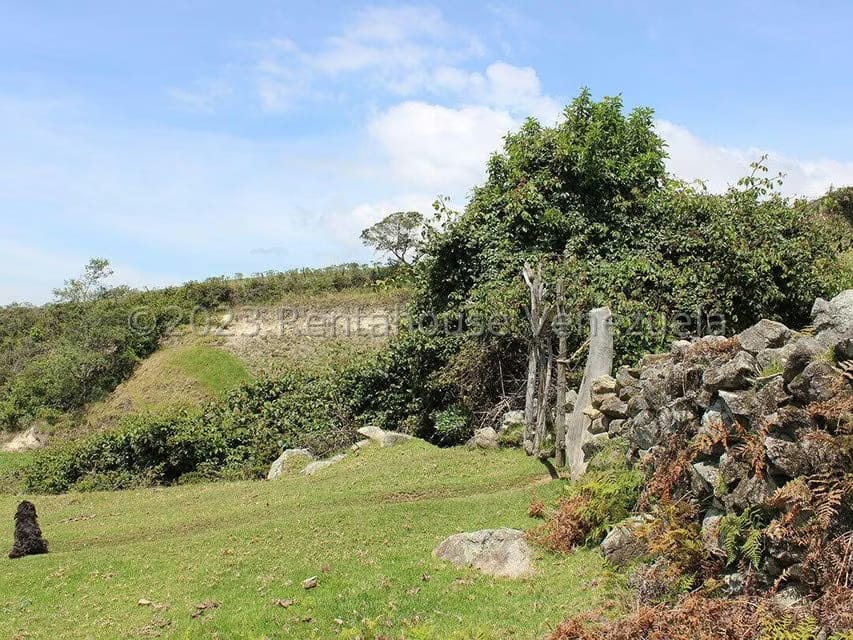 Terreno (Comercial) en Venta en Cacute, Merida - 41