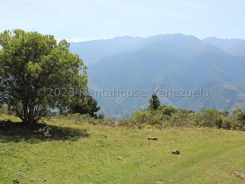 Terreno (Comercial) en Venta en Cacute, Merida - 42