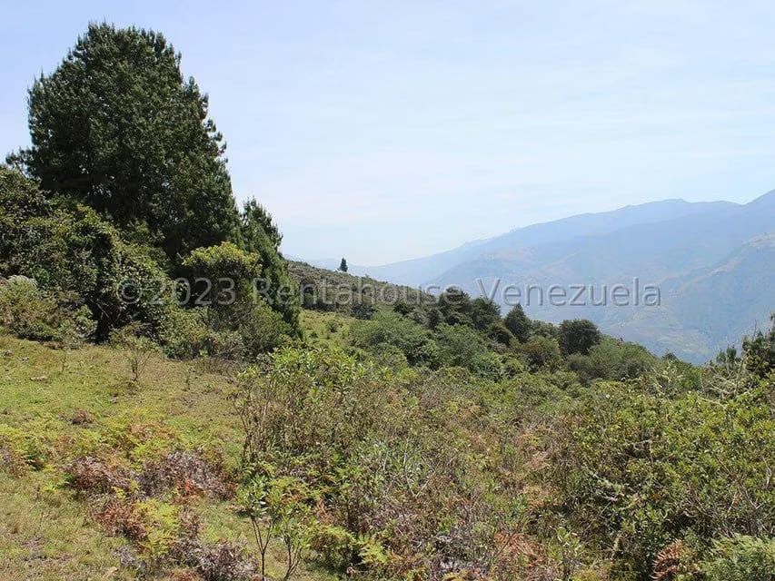 Terreno (Comercial) en Venta en Cacute, Merida - 44