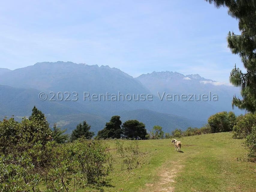 Terreno (Comercial) en Venta en Cacute, Merida - 45