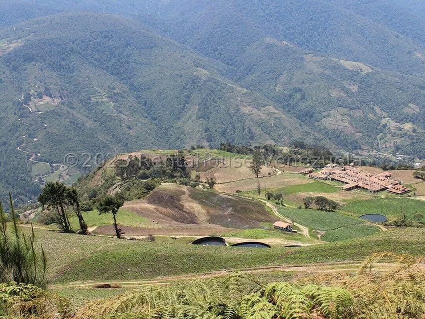 Terreno (Comercial) en Venta en Cacute, Merida - 50
